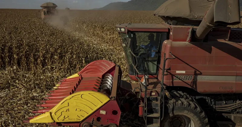 Goldman mide el impacto del Súper El Niño en América Latina: estos serían los países más afectados