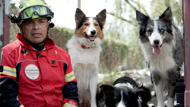 La Cruz Roja de México fortalece su respuesta ante emergencias con binomios caninos