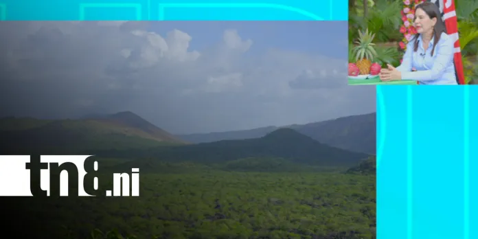 Un mirador en El Ventarrón y la Ruta de la Piña: La proyección de...