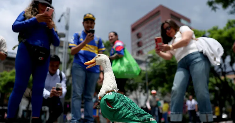 Sheinbaum invita al pato Merlín a Palacio Nacional en plena fiebre futbolística