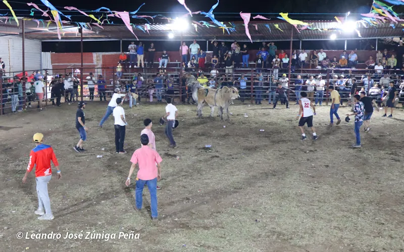 Tradición y adrenalina marcan las montas taurinas en la Plaza La Bendición