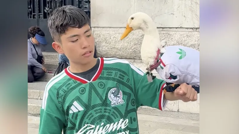 El pato Merlín y la depresión que ayudó a curar antes de la fama mundialista