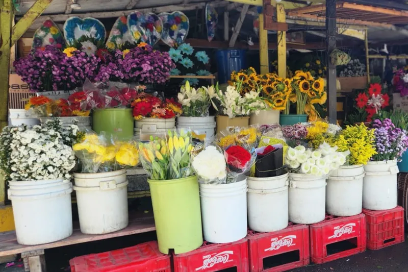 Comercio se abastece para el Día de los Fieles Difuntos