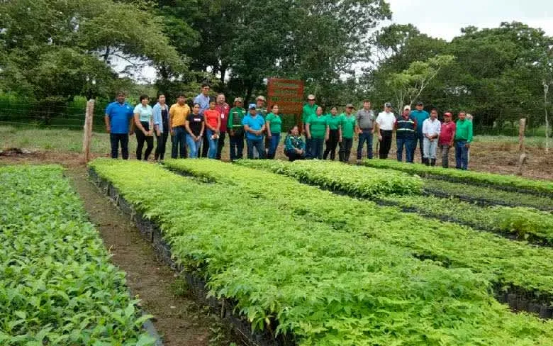 Gobierno inaugura dos viveros forestales en Boaco y Río San Juan