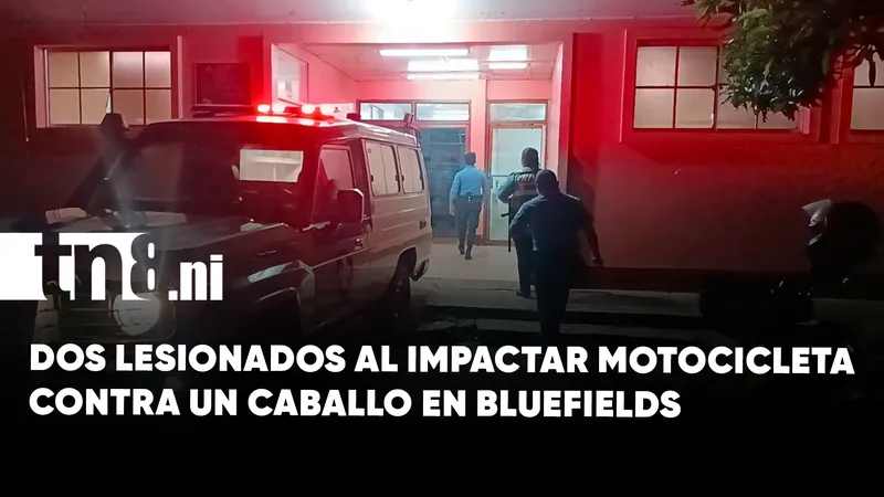 Caballo suelto en la vía provoca grave accidente en la ruta Kukra Rivers –...
