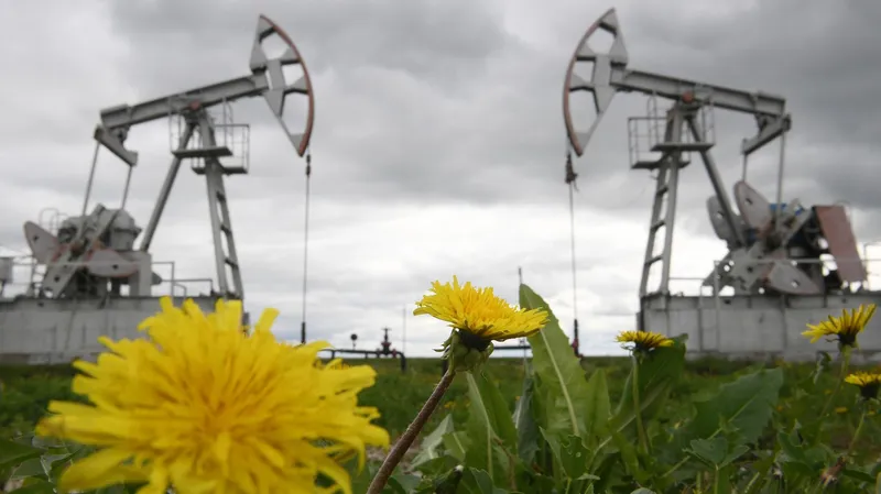 Rusia aumentaría su producción de crudo en el marco de la OPEP+ "para mantener la estabilidad del mercado"