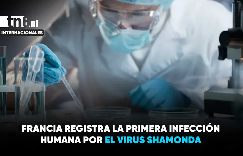España refuerza la vigilancia del virus Shamonda tras una muerte en Francia