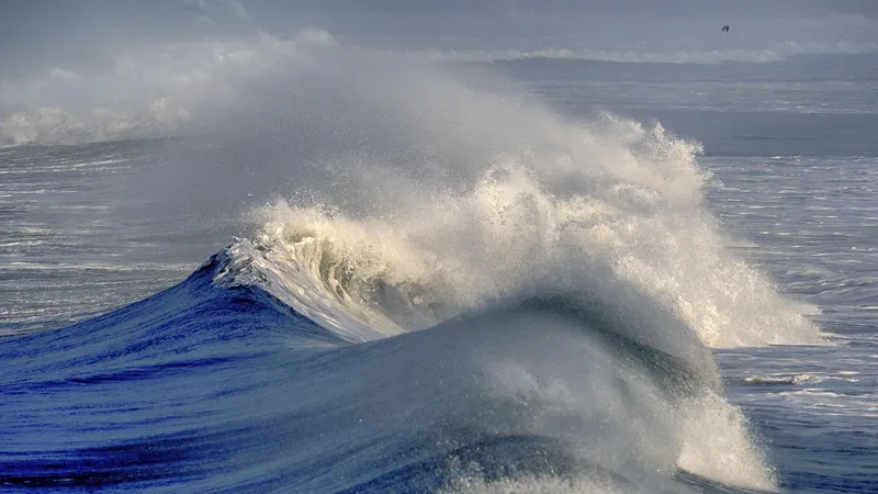 Pronostican alta probabilidad de que El Niño de esta temporada sea el más intenso desde 1950