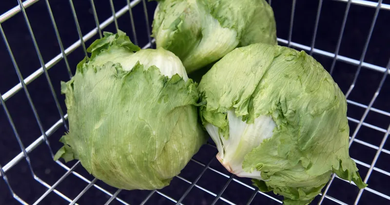 Se extiende el brote de Cyclospora relacionado con lechuga mexicana