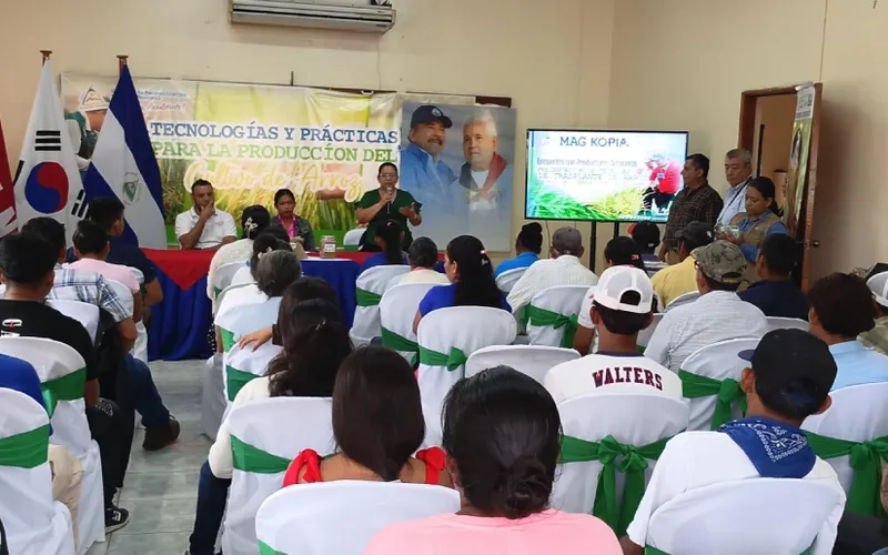 Tecnologías para sembrar Arroz de Riego