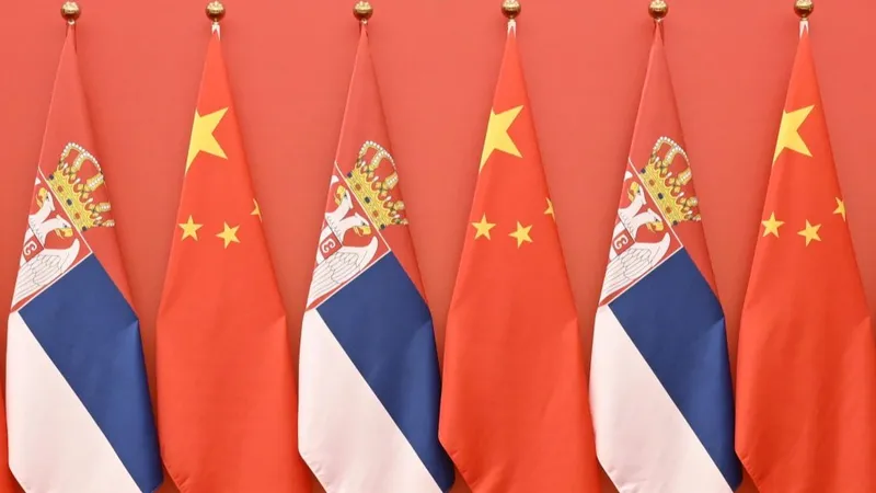 Declaración conjunta sobre la promoción continua de la construcción de una comunidad China-Serbia en la nueva era