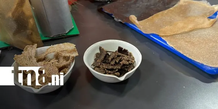 Del laboratorio a la solución: jóvenes impulsan la biotecnología con proyectos innovadores en Nicaragua