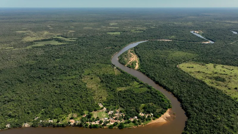 La deforestación en la Amazonía de Brasil cae en 38%