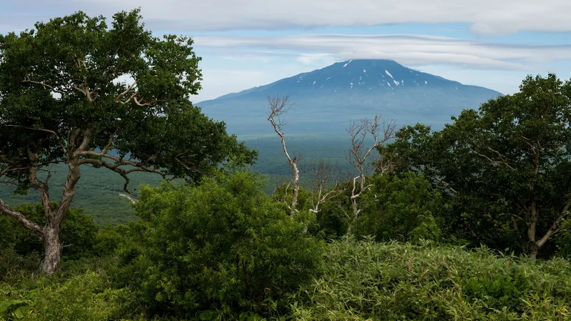 Rusia ve como alarmantes los intentos de Japón por eludir su responsabilidad histórica al incumplir su Constitución