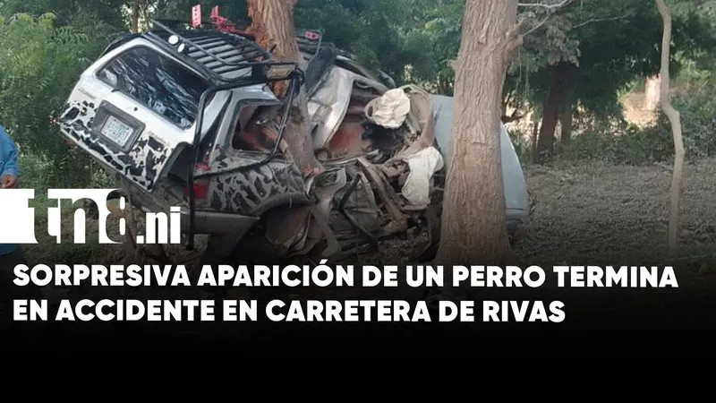 Violento accidente en carretera a Peñas Blancas deja daños materiales en Rivas