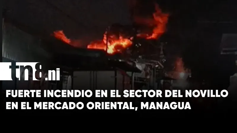 Fuerte incendio en el sector del Novillo en el Mercado Oriental