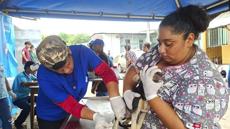 Futuros técnicos en Veterinaria fortalecen su formación con atención comunitaria en Chontales