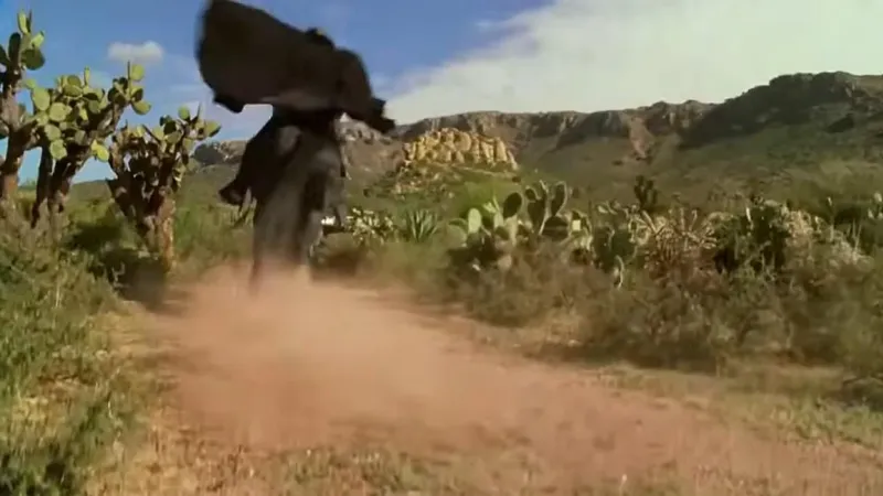 Una de las mayores películas de aventuras de los 2000 se rodó un 80% en exteriores de México