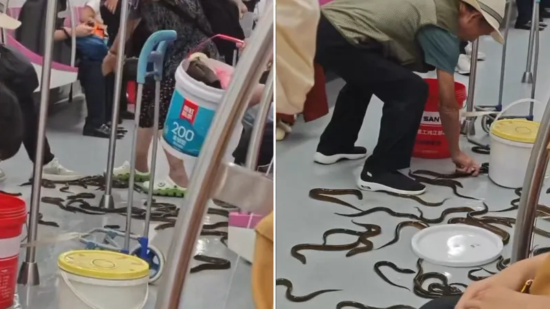 Anguilas invaden vagón de metro en China
