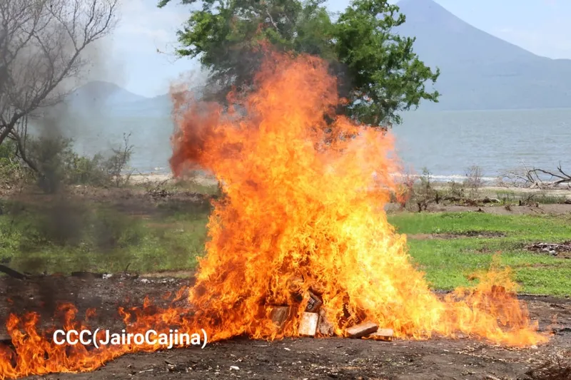 Queman los 552 kilos de cocaína incautados en Río San Juan