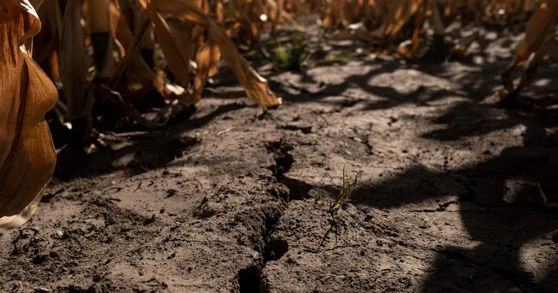 OMM revela las zonas de Latinoamérica que tuvieron olas de calor “sin precedentes” en 2025