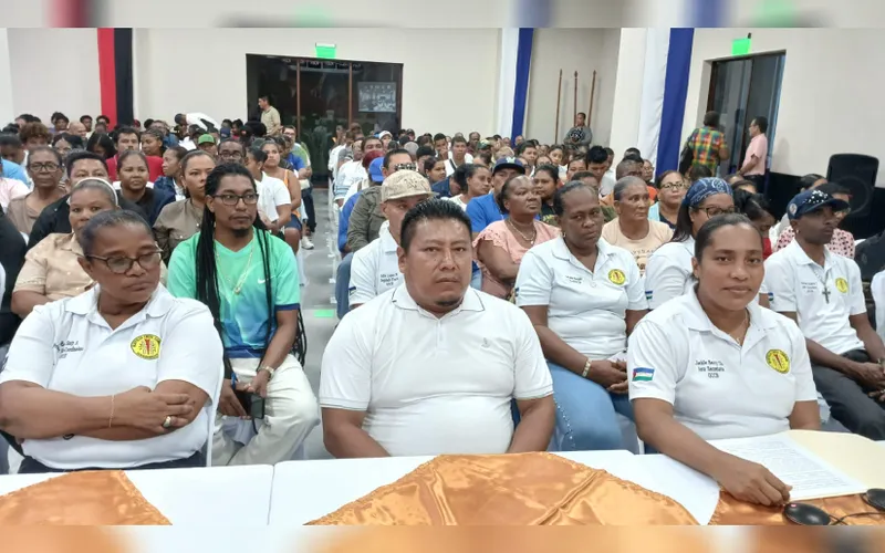 Pueblos originarios y afrodescendientes respaldan propuestas de reforma constitucional