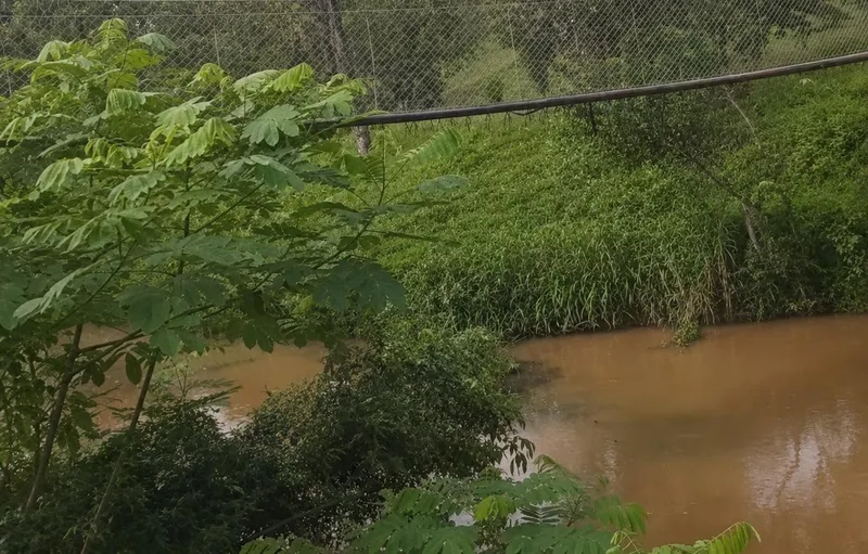 Hallan cadáver atado con piedras en el río Punta Gorda, en Nueva Guinea