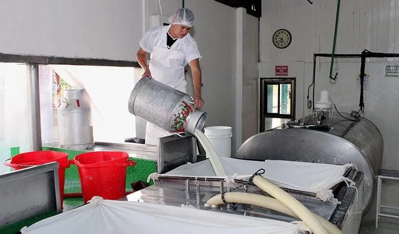 Producción de leche en Nicaragua supera los 146 millones de galones