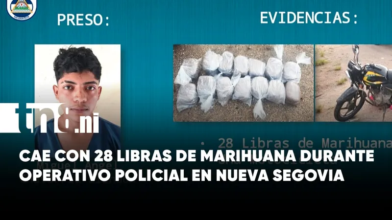 ¡Golpe al narco en Nueva Segovia! Policía incauta 28 libras de marihuana