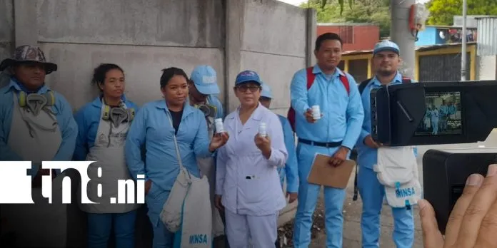 MINSA intensifica jornada de fumigación y abatización en el barrio Boer