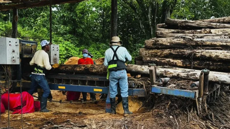MARENA supervisa procesos de producción forestal sostenible en Boaco