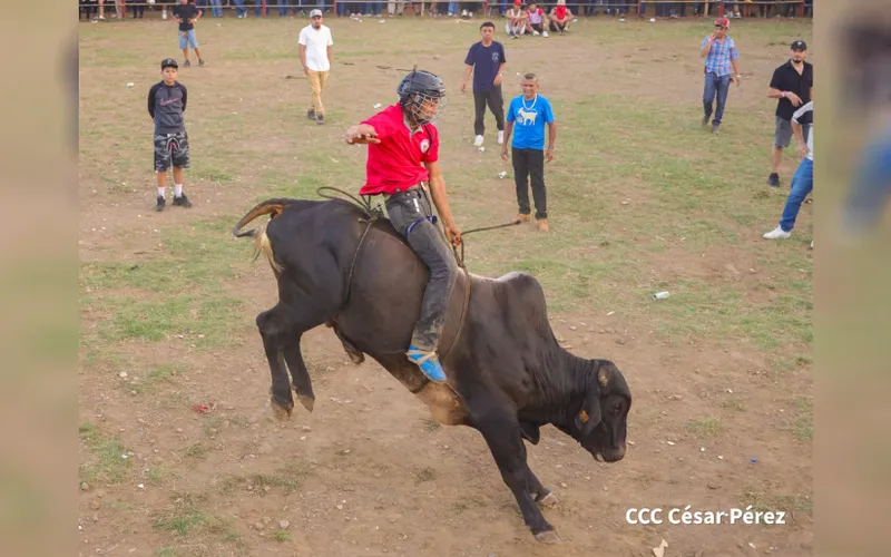 Las tardes taurinas: una tradición popular llena de jolgorio y adrenalina