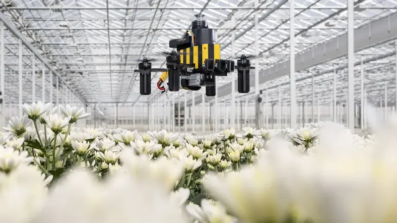 Inspirado en las abejas: presentan un revolucionario dron que navega sin GPS