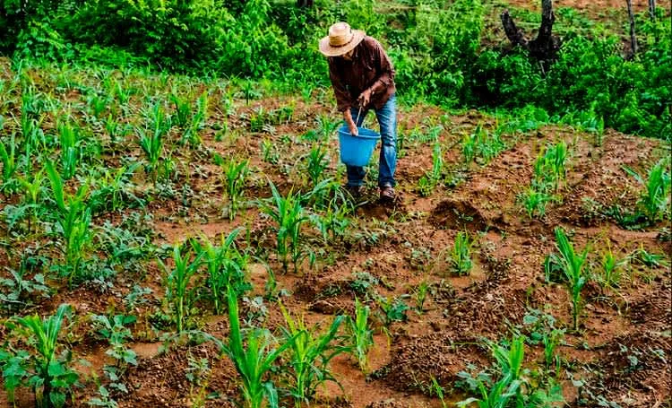MAG brinda informe de gestión al pueblo nicaragüense