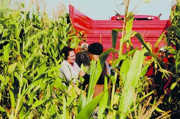 Cuba: Eliminan límites de hectáreas y simplifican trámites para la entrega de tierras en usufructo
