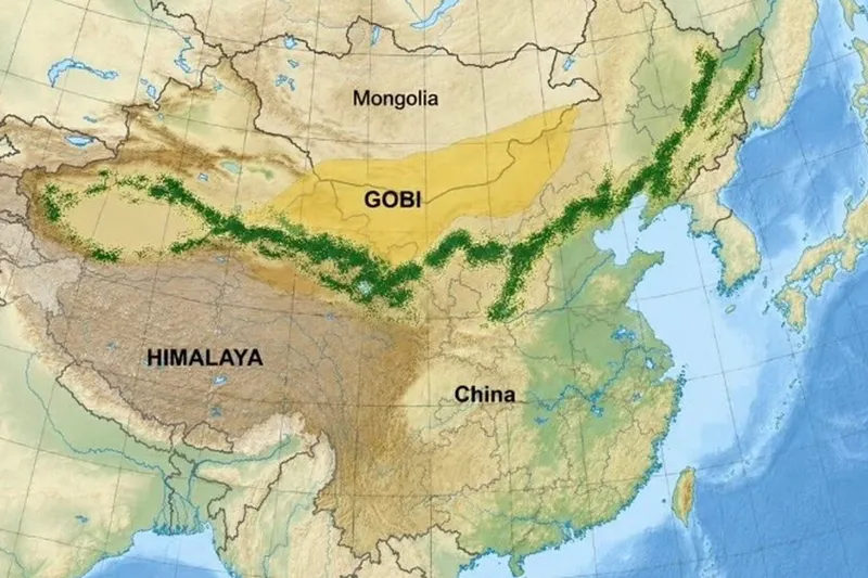 Desde hace 48 años, China ha plantado 66.000 millones de árboles para construir una gran muralla verde. Medio siglo después las imágenes de satélite revelan algo insólito