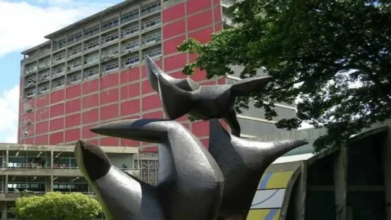 Nanopartículas desarrolladas en la UCV elevan hasta 40% el rendimiento agrícola