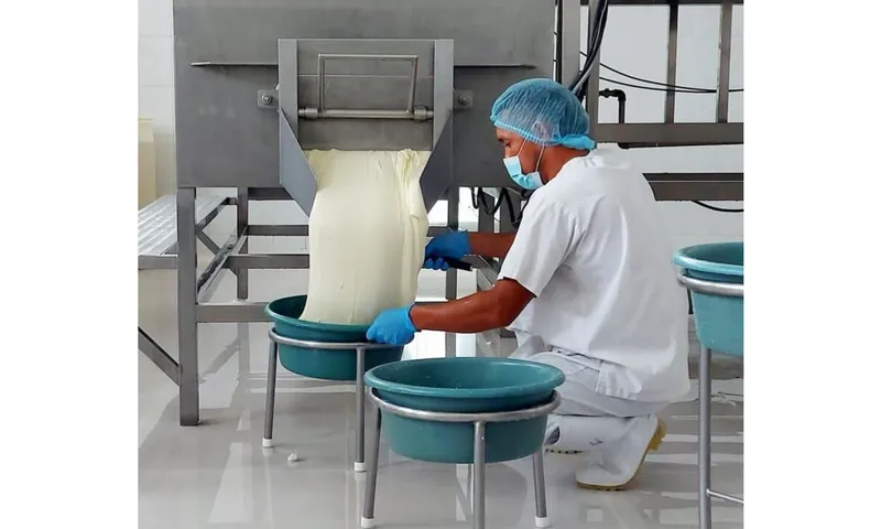 Sector lácteo de Nicaragua registra buena producción de leche