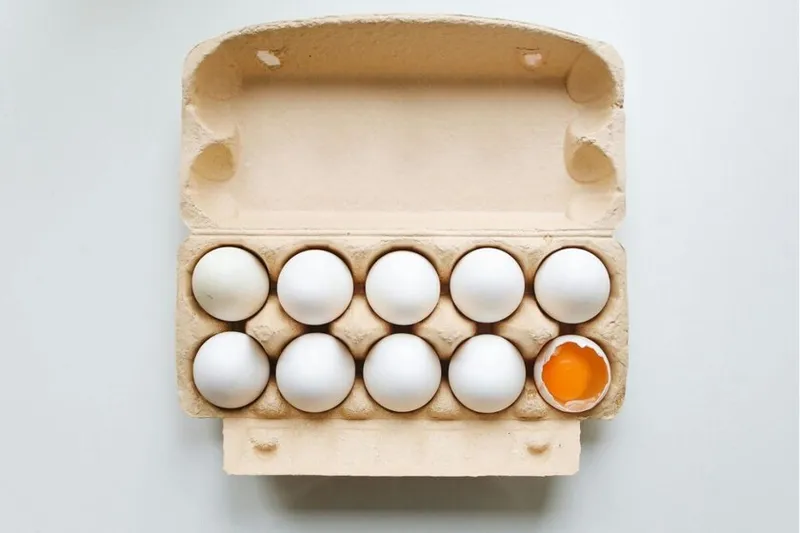 Antes de tirar los cartones de huevos, mira estas ideas para reciclarlos y convertirlos en cosas útiles para la casa