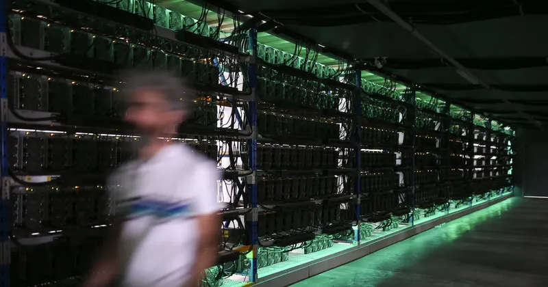 Cuáles son las criptomonedas que subieron de precio en el primer semestre