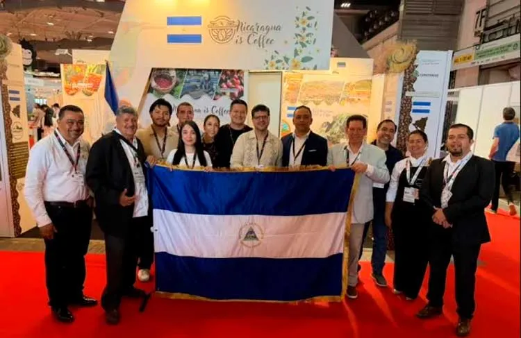 Café nica reafirma creciente reconocimiento internacional