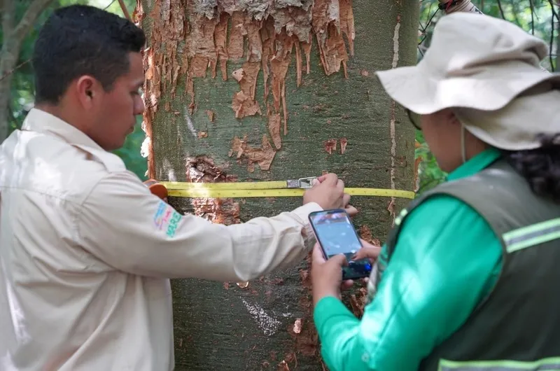 Más de 100 unidades de muestreo evaluadas: MARENA consolida el Inventario Forestal 2026