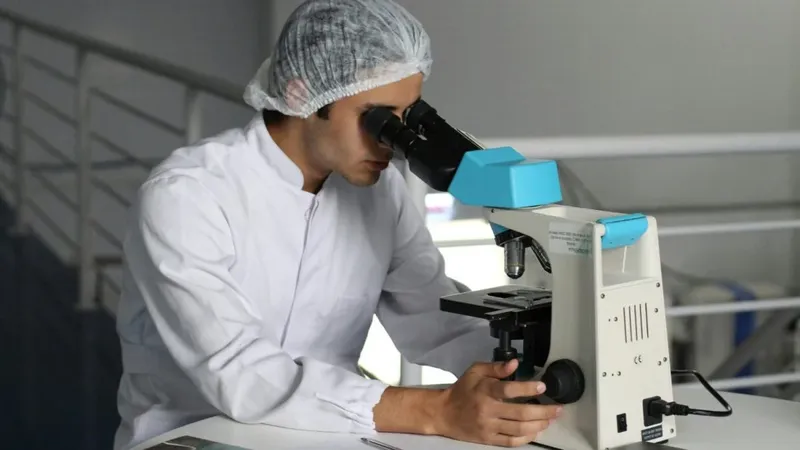 Investigadores finlandeses crearon un material inspirado en la clorofila que cambia de color en menos de 2 segundos y almacena energía — el candidato perfecto para ventanas inteligentes
