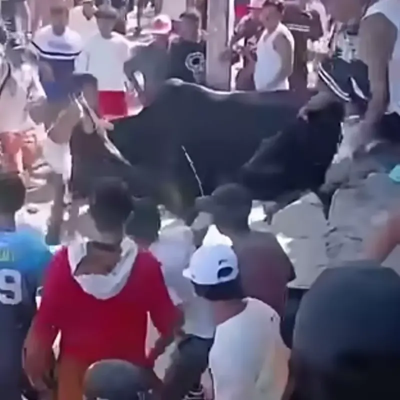 Cachudo embiste a sorteador y lo deja grave en Granada