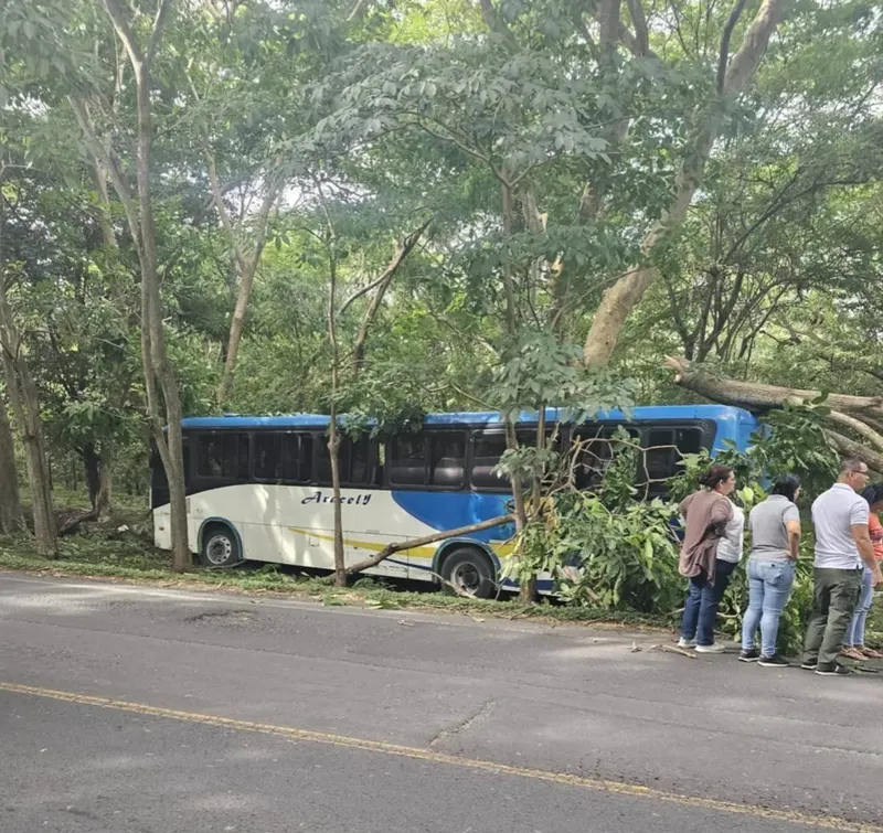 Bus de Peñas Blancas se estrella contra árbol en Rivas