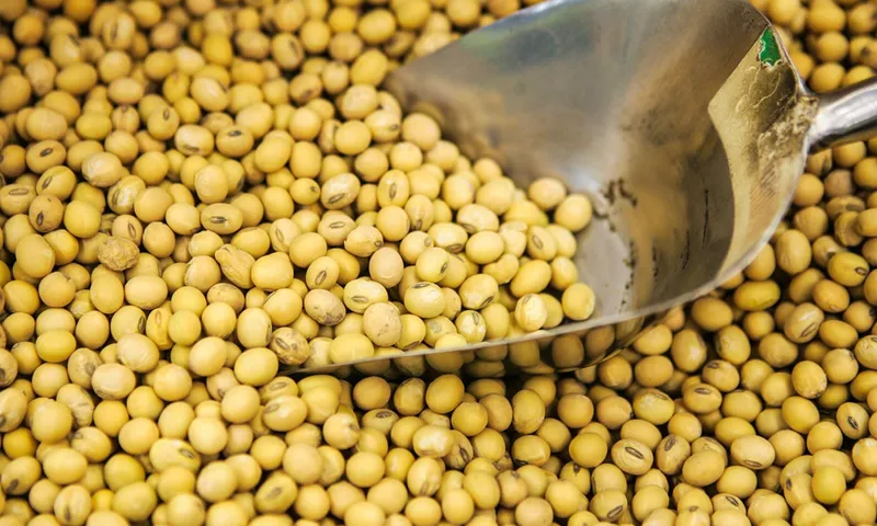 China compra el 71 % de las exportaciones brasileñas de soja