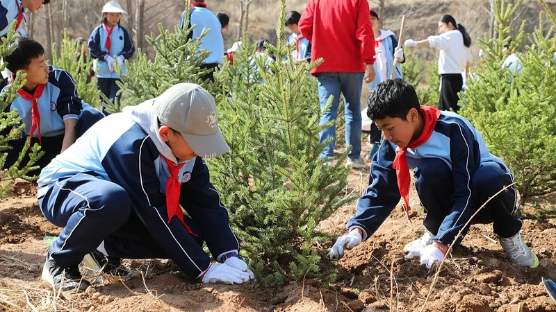 Los jóvenes chinos están "plantando" un milagro verde en el desierto