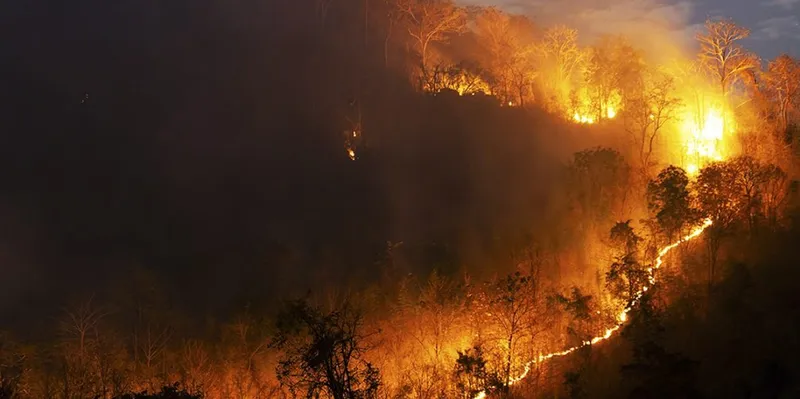 Incendio devasta 400 hectáreas del Parque Nacional de Doñana en España