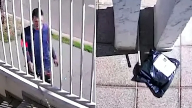 Captan la ingeniosa estrategia de un ladrón para 'pescar' paquetes ajenos (VIDEO)