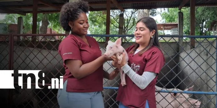 Universidades de Nicaragua fortalecen la formación veterinaria en encuentro interuniversitario